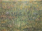 Vincent Van Gogh Pasture in Bloom (nn04) oil painting reproduction